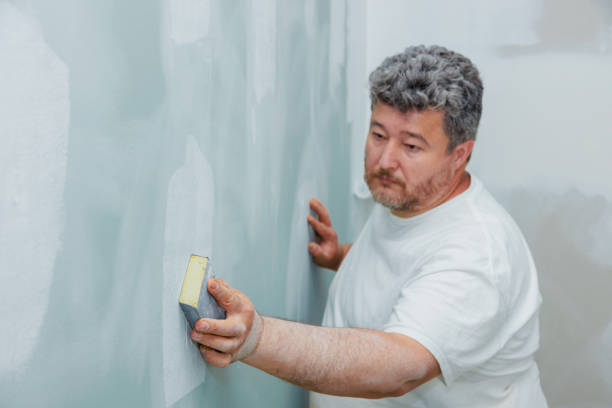 Best Fire-Damaged Drywall Repair  in Walled Lake, MI